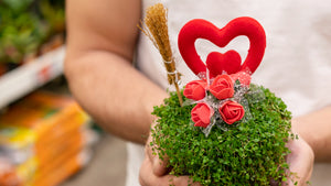 Eco-Friendly Valentine's Day Ideas That Don't Cost the Earth!