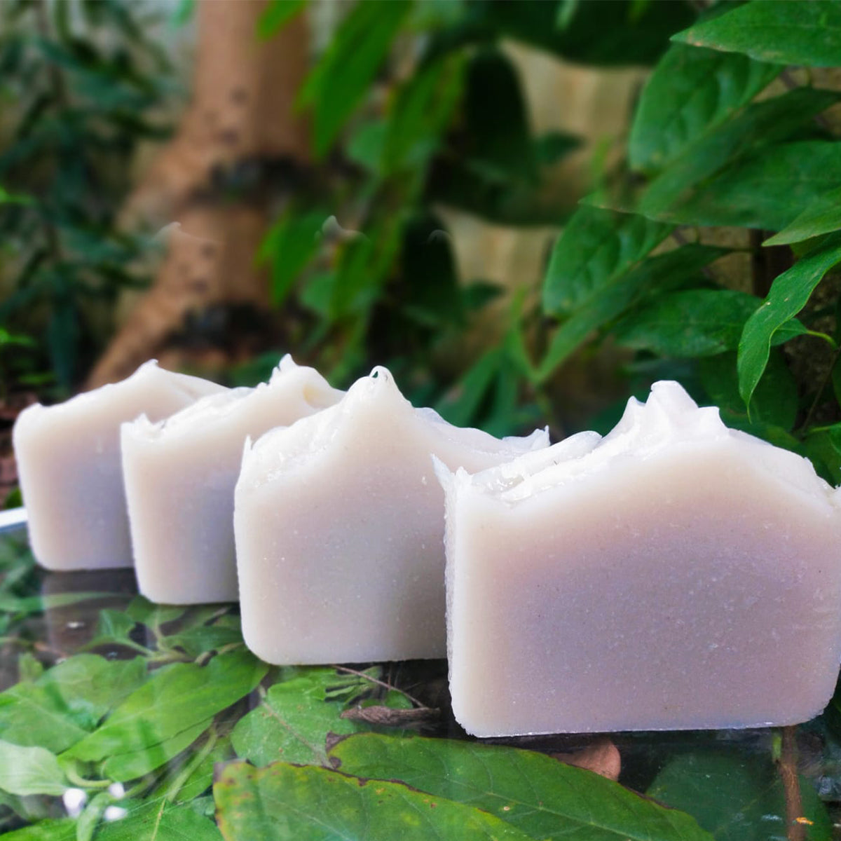 Organic Coconut Milk & Rice Flour Skin Healing Bath Bar - 100gm