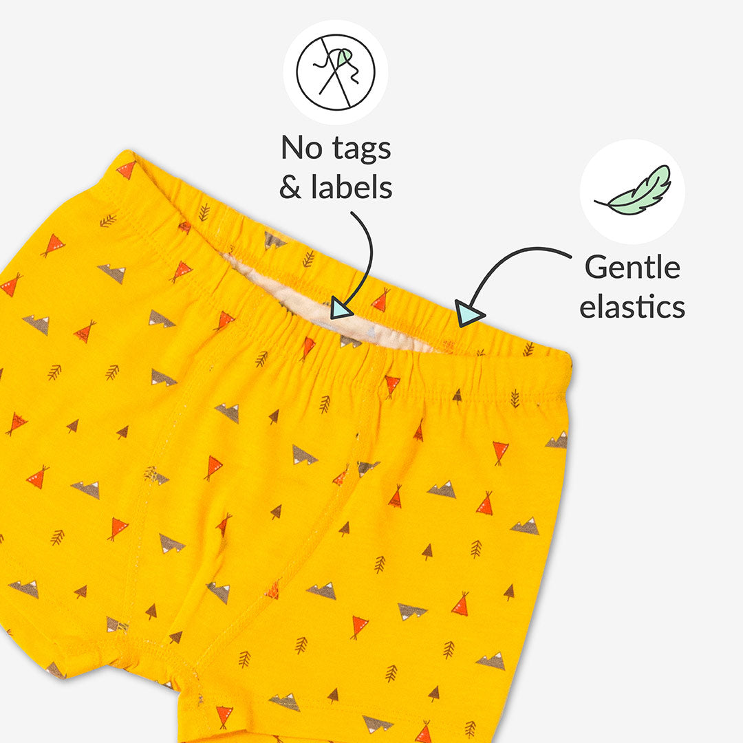 Choose Print and Size for Young Boy Trunks - Pack of 3