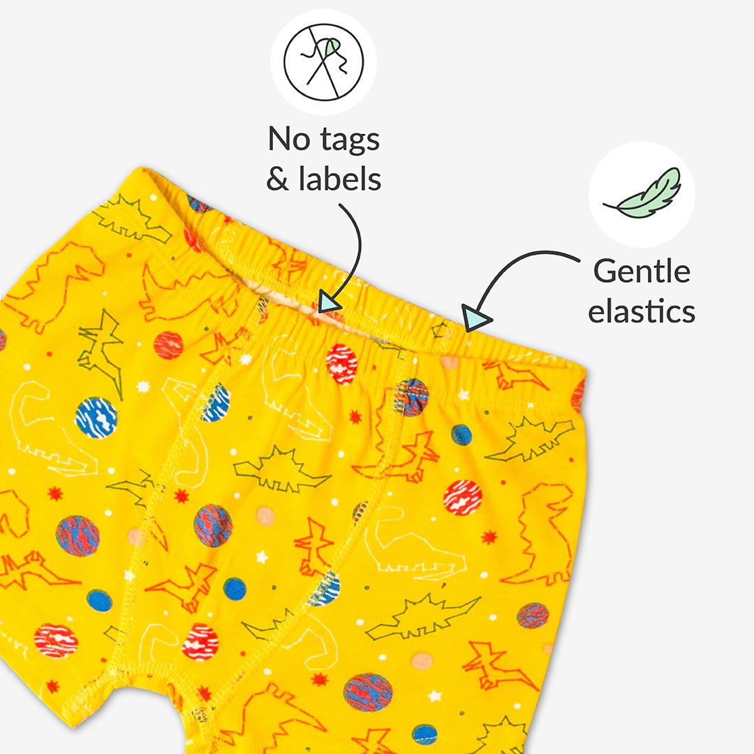 Young Boy Trunks -6 Pack (Kid's Day Out - Finding Dino)