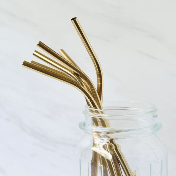 Copper Straws With Cleaner - Pack of 2 (Copper) ST+Bend