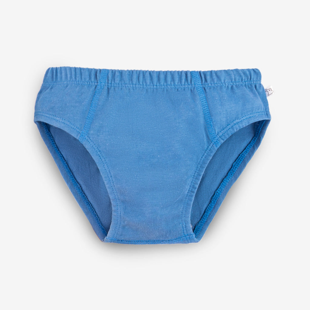 Young Boy Briefs -3 Pack (Finding Dino)