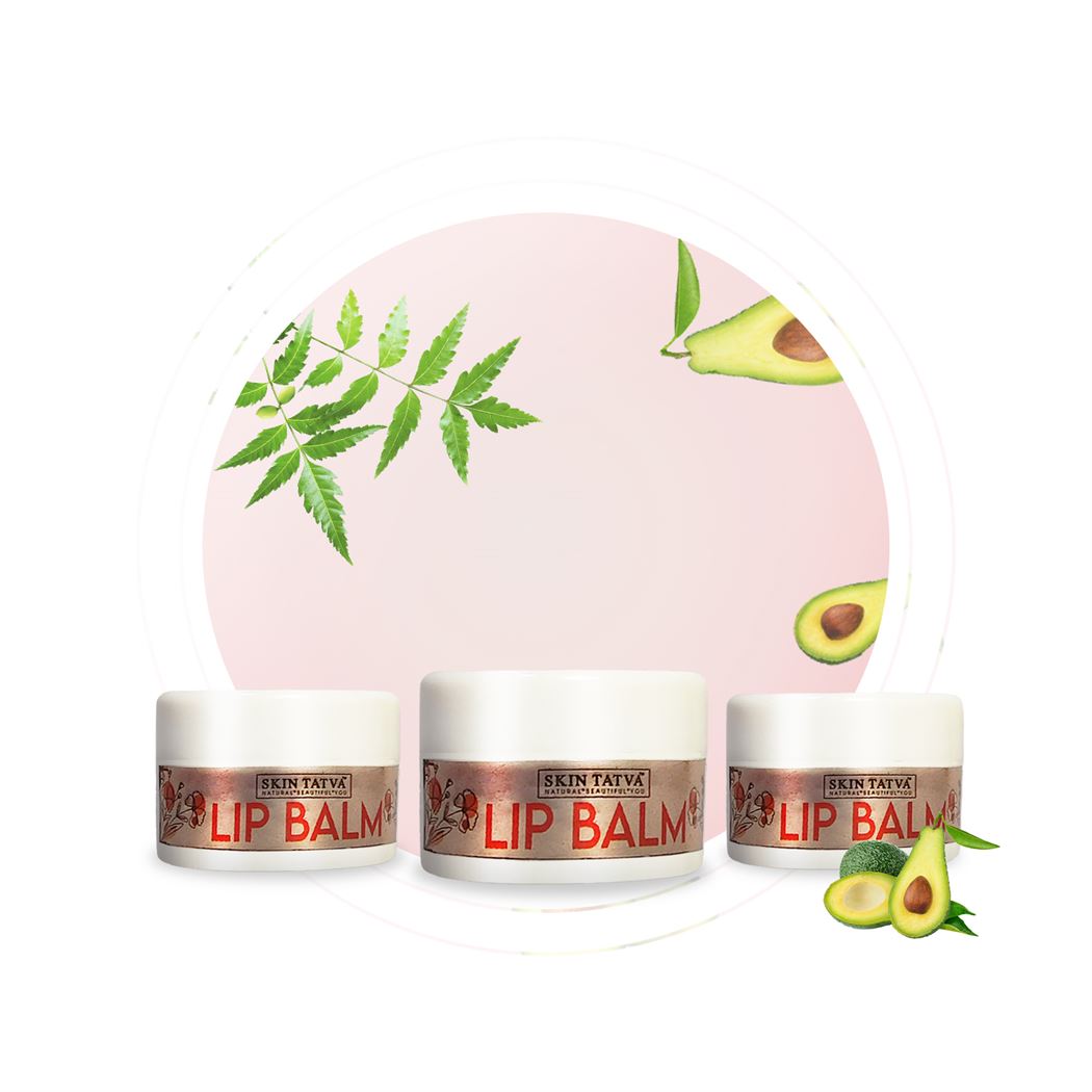 SKIN TATVA AVOCADO LIP BALM PACK OF 3