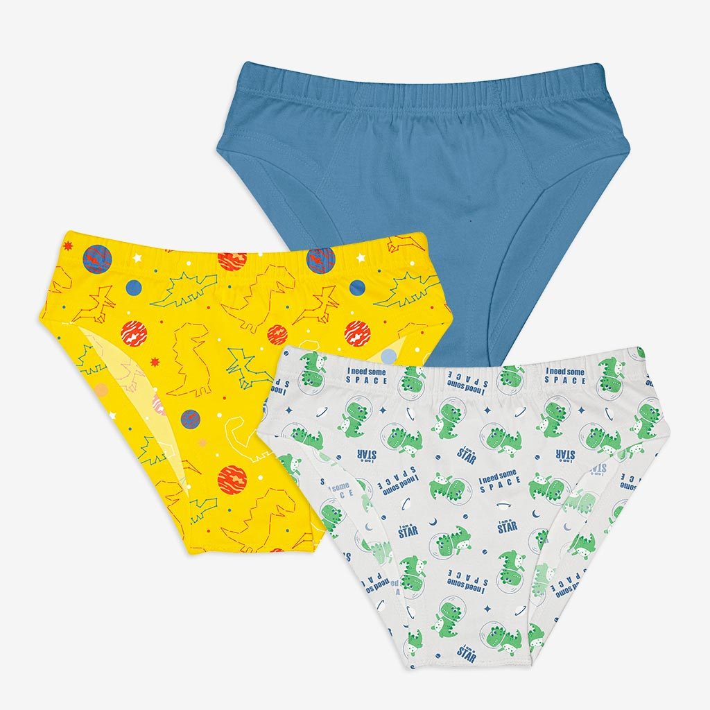 Young Boy Briefs -6 Pack (Finding Dino - Sea-saw)