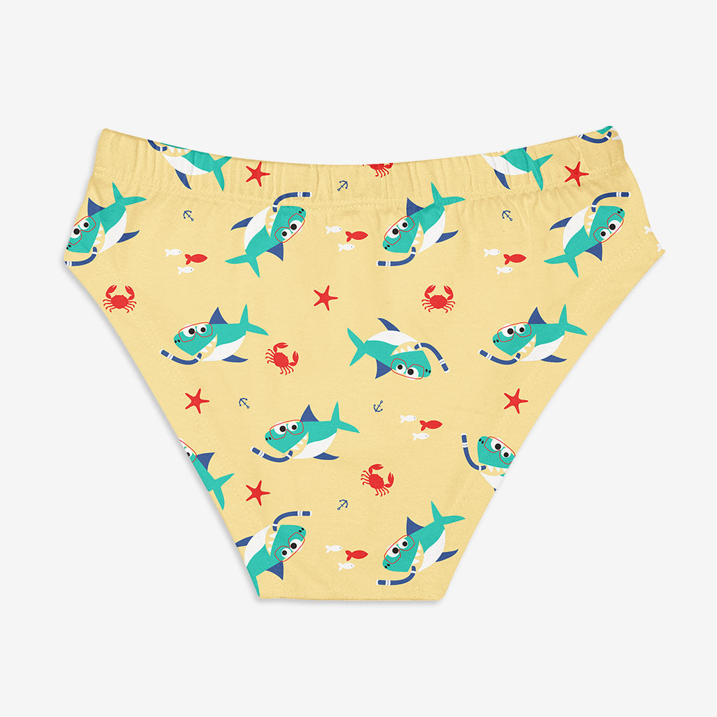 Young Boy Briefs -3 Pack (Sea-Saw)