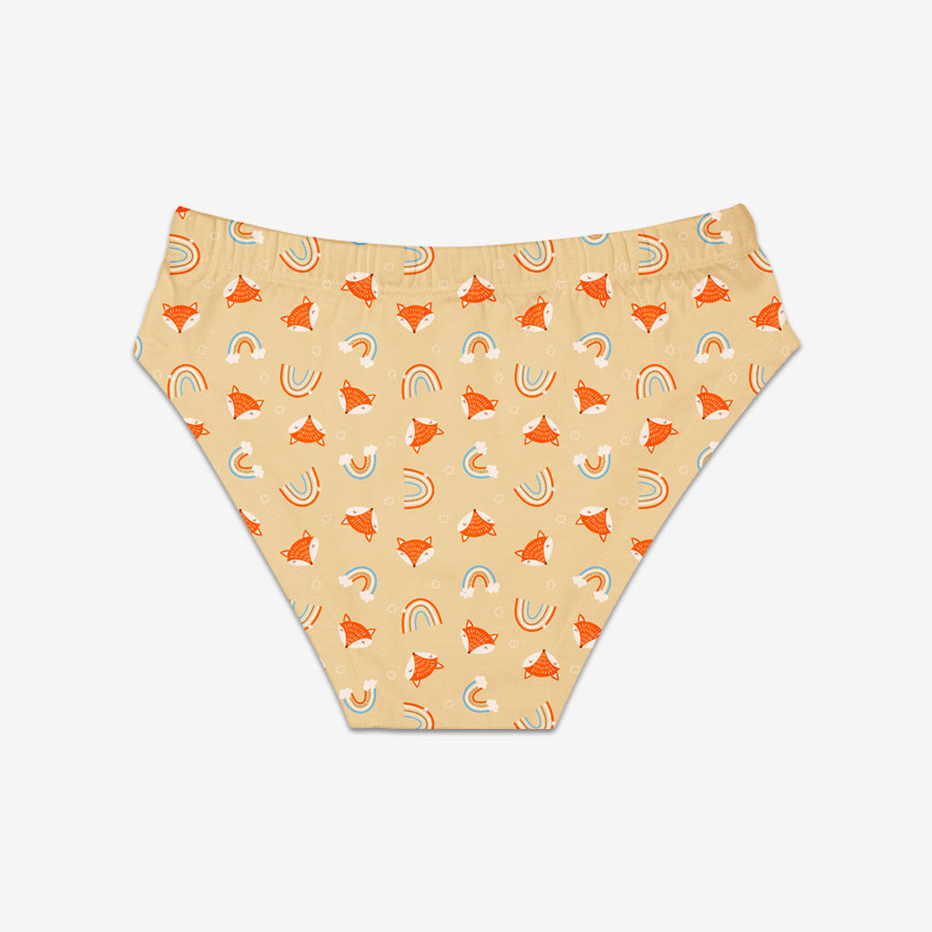 Young Boy Briefs -3 Pack (Woody Goody)