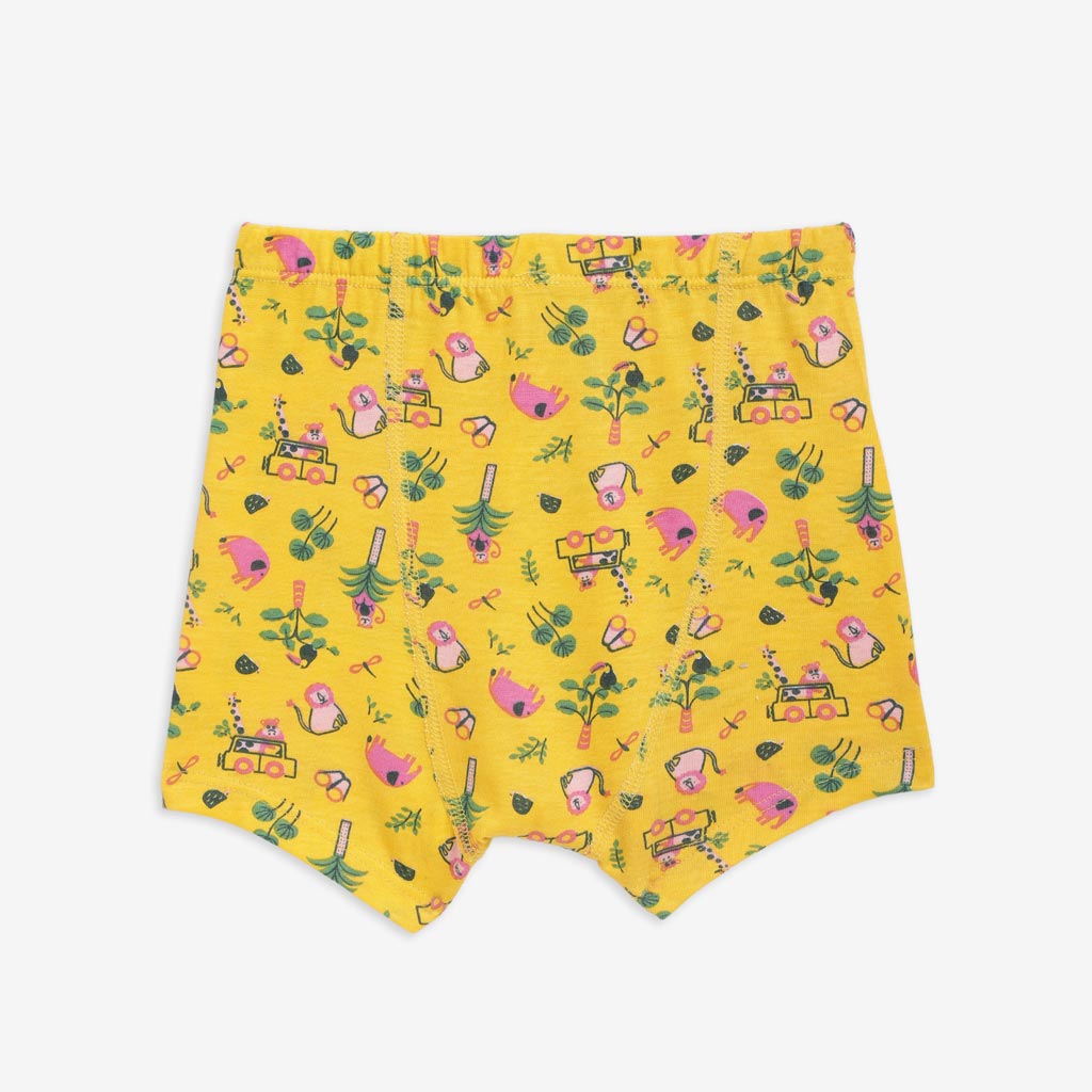 Young Boy Trunks -3 Pack (Travel Tales)