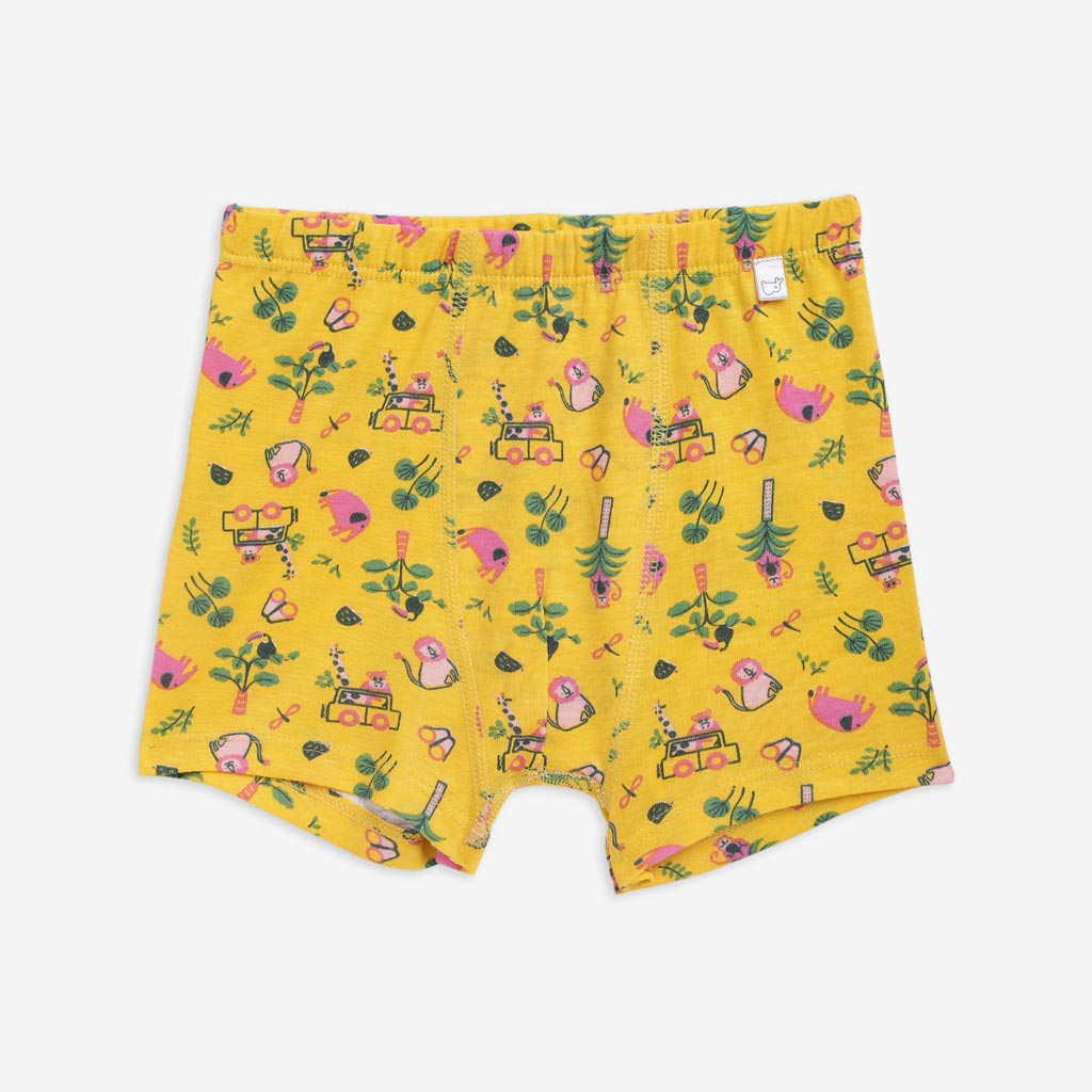 Young Boy Trunks -3 Pack (Travel Tales)