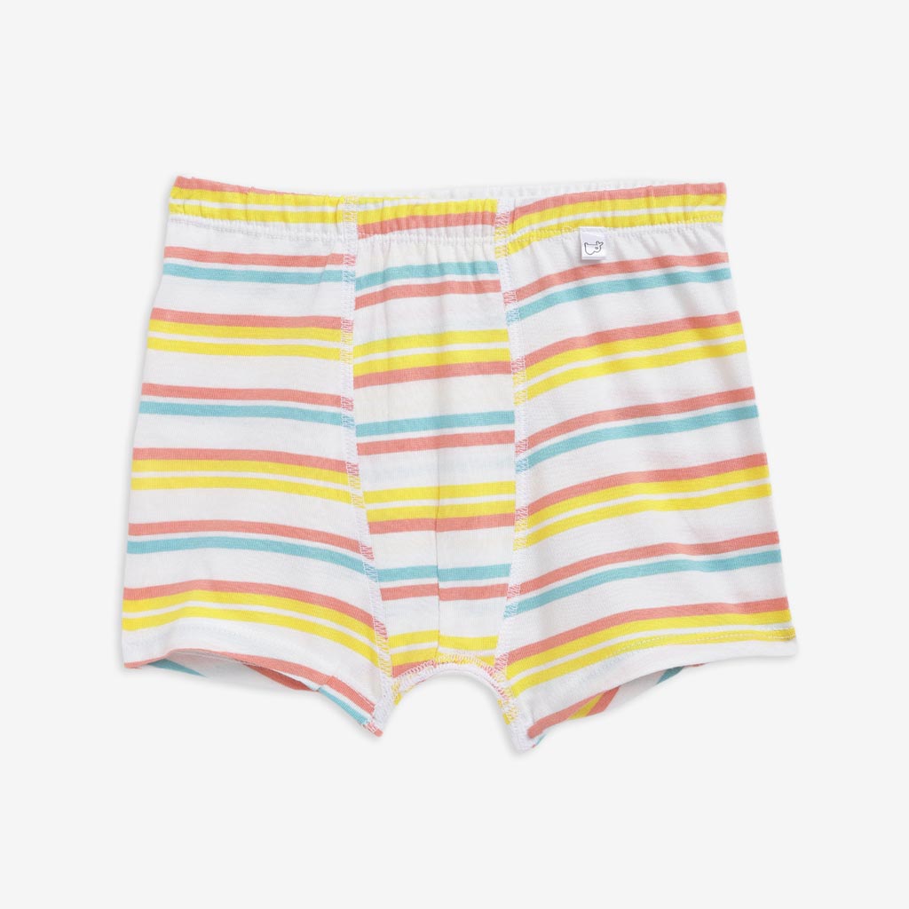 Young Boy Trunks -3 Pack (Travel Tales)