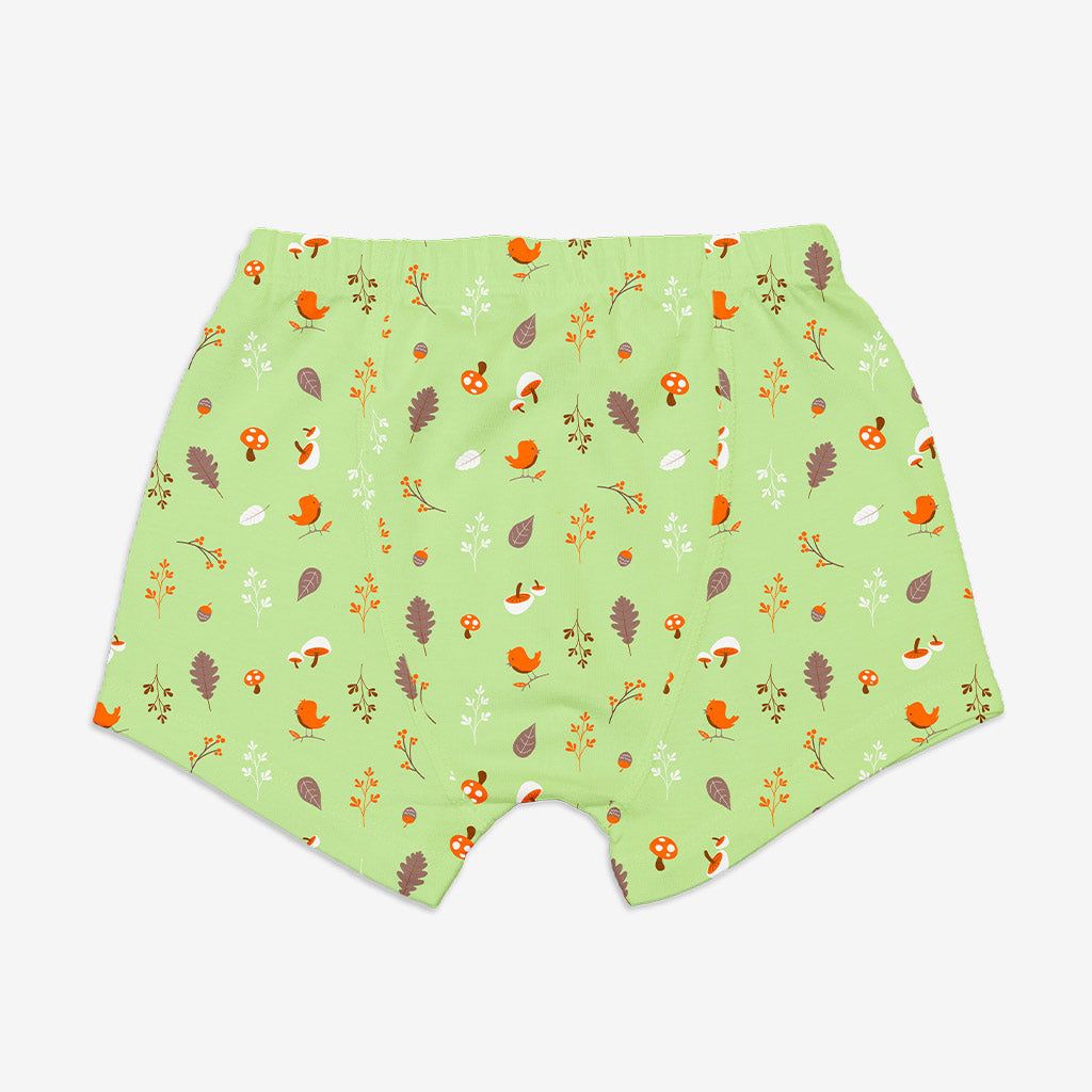 Young Boy Trunks -3 Pack (Woody Goody)