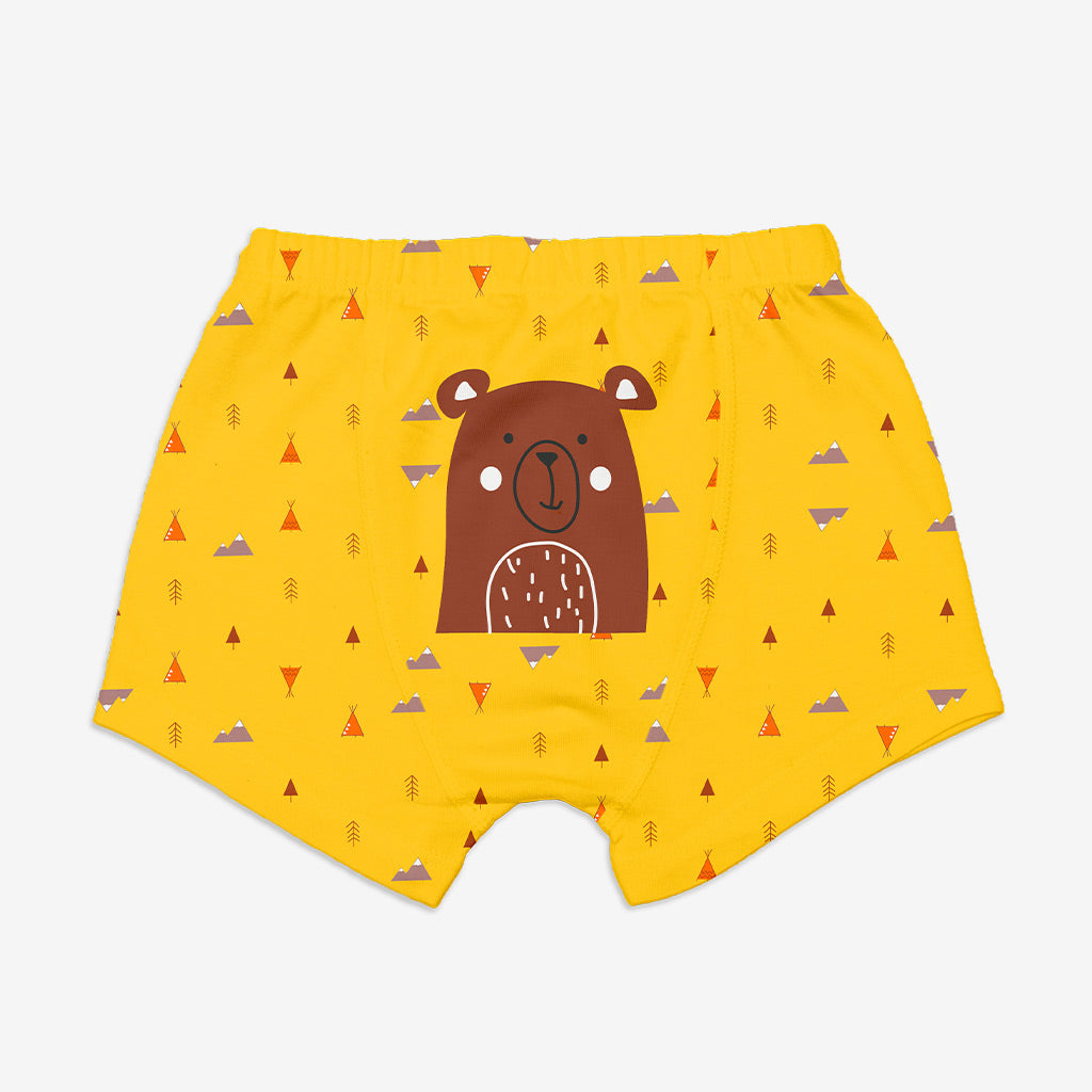 Young Boy Trunks -3 Pack (Woody Goody)