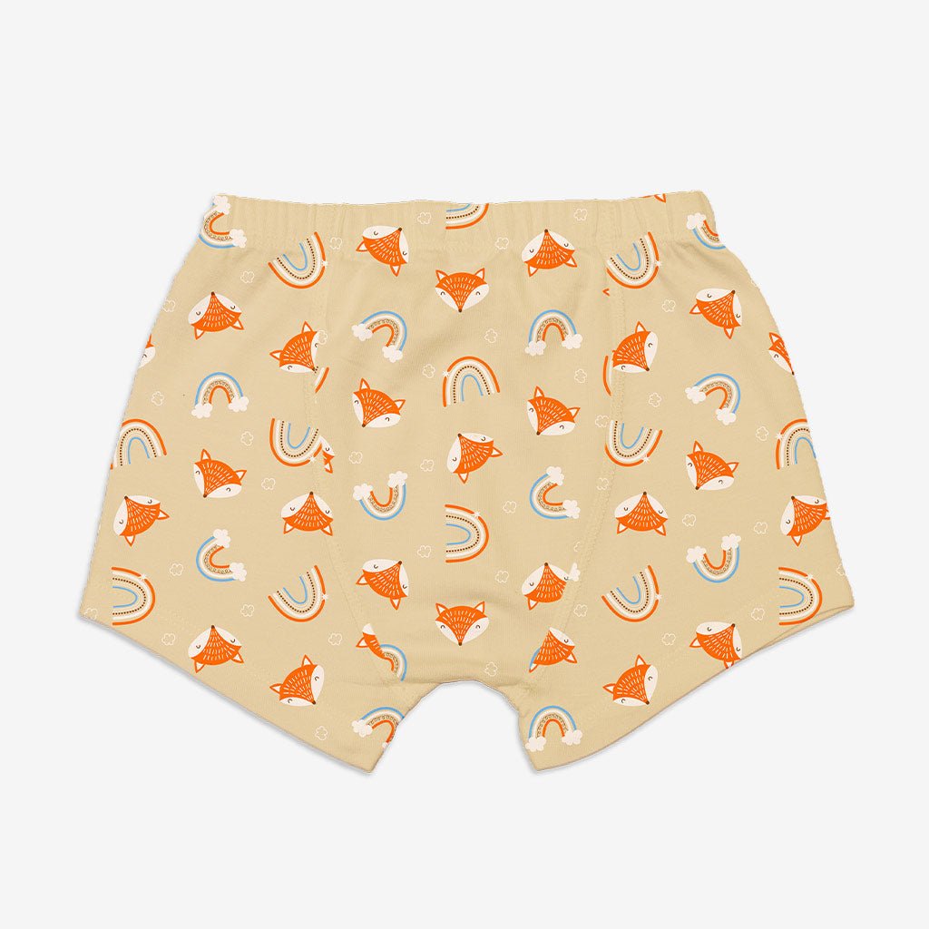 Young Boy Trunks -3 Pack (Woody Goody)