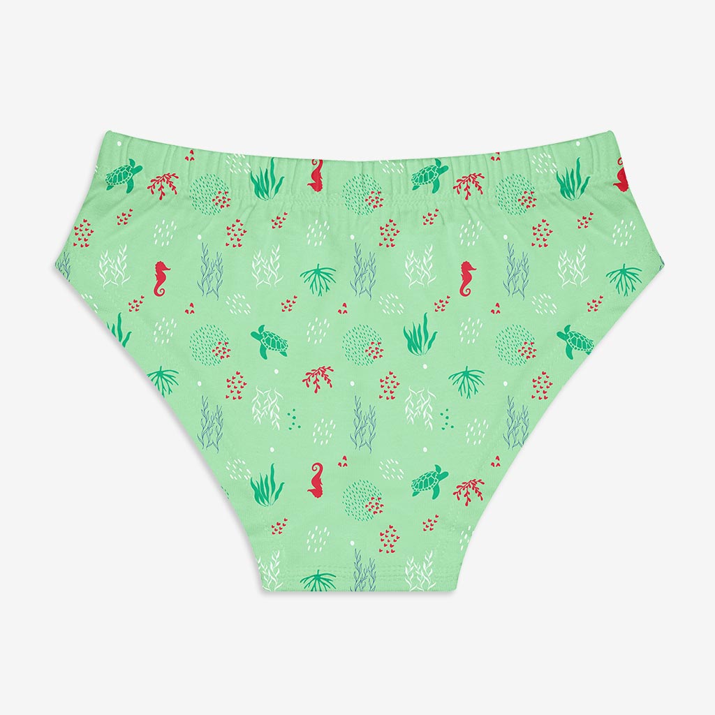 Young Girl Briefs -3 Pack (Sea-Saw)