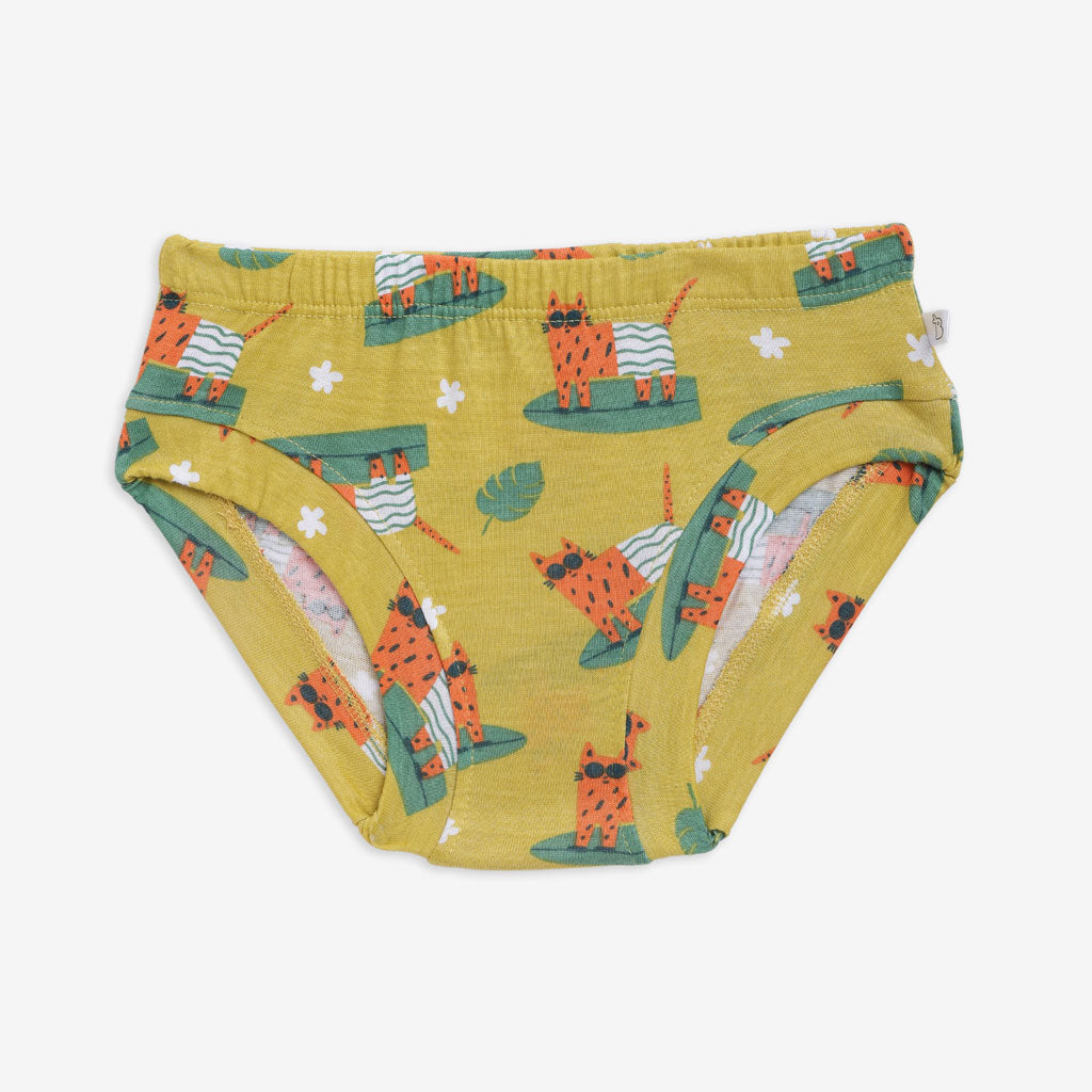 Unisex Toddler Briefs -3 Pack (Paws Only)