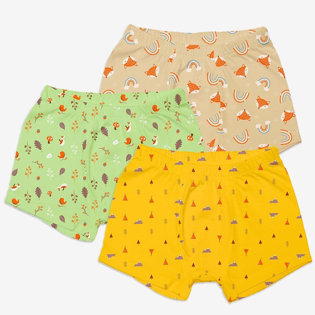 Young Boy Trunks -6 Pack (Finding Dino - Woody Goody)